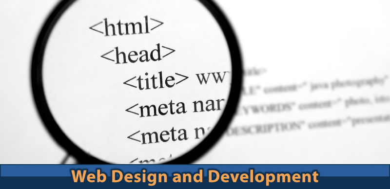 Web Design and Development Training