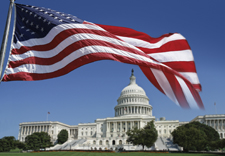 Government